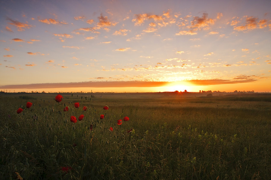 summer_sunrise_by_lica20-d3i4b75